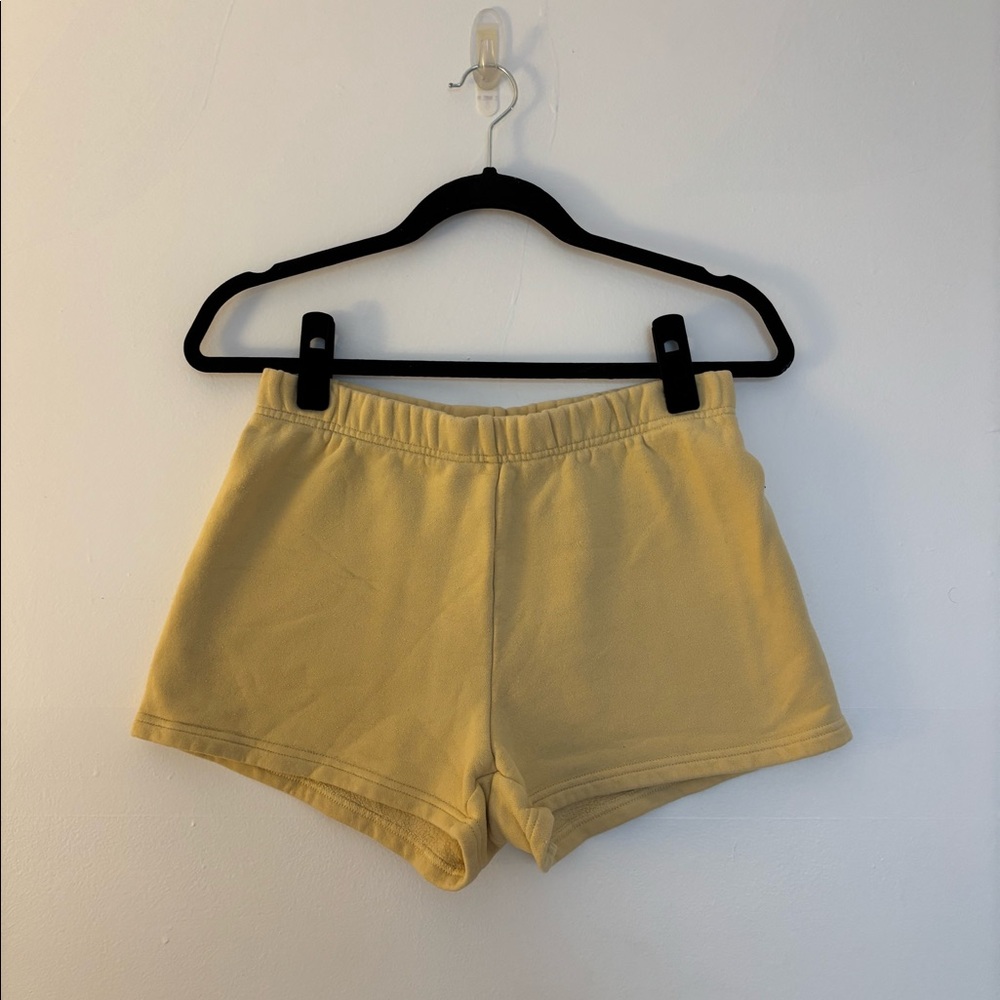 Aritizia Sweatshorts